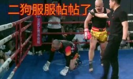 刘二狗爆料三亚饭局视频,一场奢华盛宴背后的故事